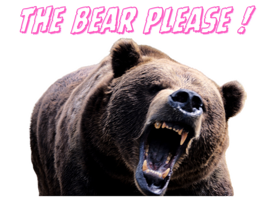 The Bear 🐻